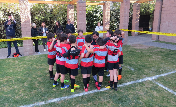 rugbyweb